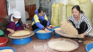 Kẹo Lạc Vừng Hồng Bắc, Kẹo Vừng Thanh Hồng Bắc - Sản phẩm OCOP 3 Sao tỉnh Nam Định năm 2020 4 129153320 116557566948099 2817712634478167592 n