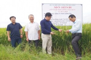 Gạo Nhật Cường Tân - Koji & Gạo Sạch Cường Tân Hương Cốm : Sản phẩm OCOP 3 Sao tỉnh Nam Định năm 2020 3 129796514 117521426851713 112684192285365303 n