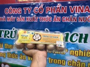 Công ty cổ phần VINA-HTC chuyên sản xuất và cung cấp các loại thức ăn gia súc gia cầm và chế phẩm vi sinh 4 130231231 116463846957471 3184996038621211853 n