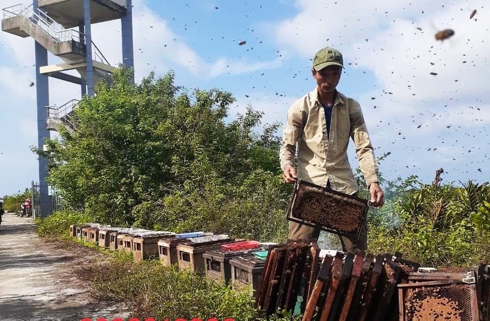 Giao Thủy phát triển sản phẩm Ocop gắn với chương trình mỗi xã một sản phẩm nông nghiệp sạch, an toàn. 2 mo