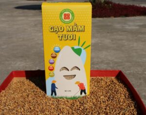 Tiềm năng sản phẩm OCOP Nghĩa Hưng 4 3 1