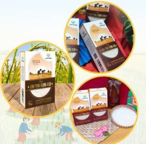 Thiet ke chua co ten