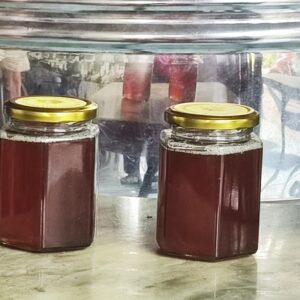 Mật ong hoa nhãn Thanh Thủy 7 sp1