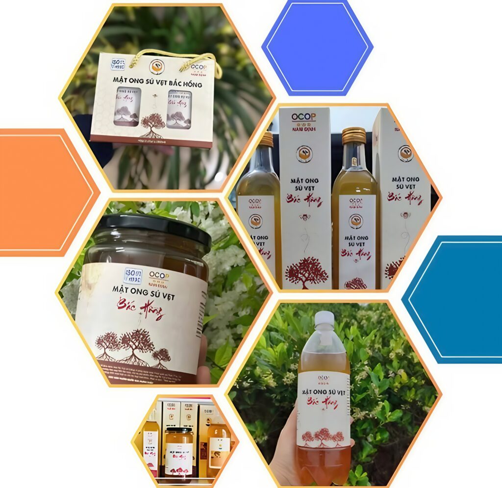 Giao Thủy – Lá cờ đầu trong triển khai Chương trình OCOP tỉnh Nam Định năm 2025 4 Giao Thuy 03
