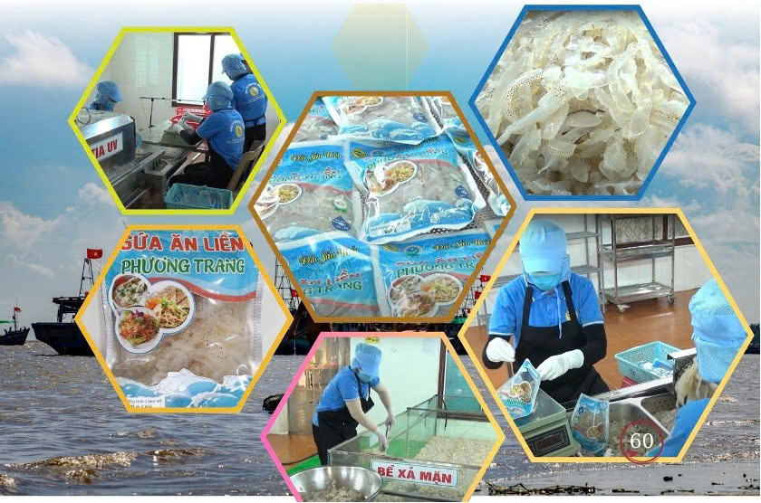 Hải Hậu – OCOP dẫn đầu, lan tỏa và chuyển mình trong giai đoạn mới 3 hai hau 1
