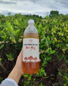 z6746323654909 c108915cb47f6c2ea47f4388f5602891