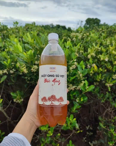 OCOP không ngừng tiến bước: Câu chuyện vươn xa của Mật ong sú vẹt Bắc Hồng 2 z6746323654909 c108915cb47f6c2ea47f4388f5602891